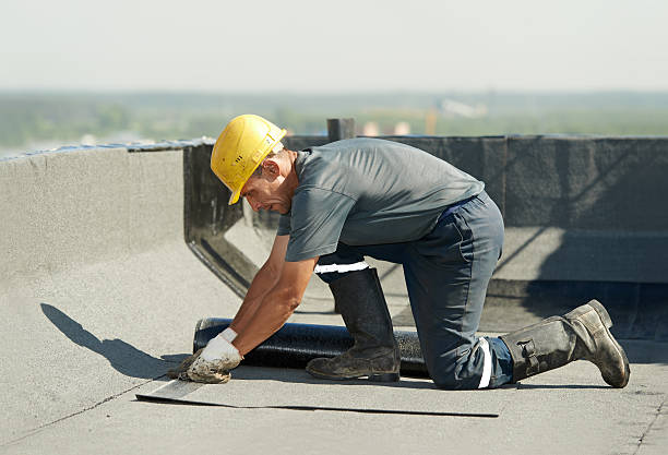 Best Cellulose Insulation in Bloomingdale, IL