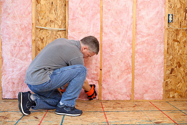 Professional Insulation Contractor in Bloomingdale, IL